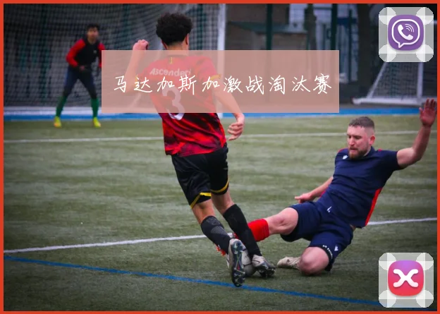 马达加斯加激战淘汰赛