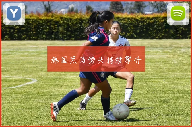 韩国黑马势头持续攀升