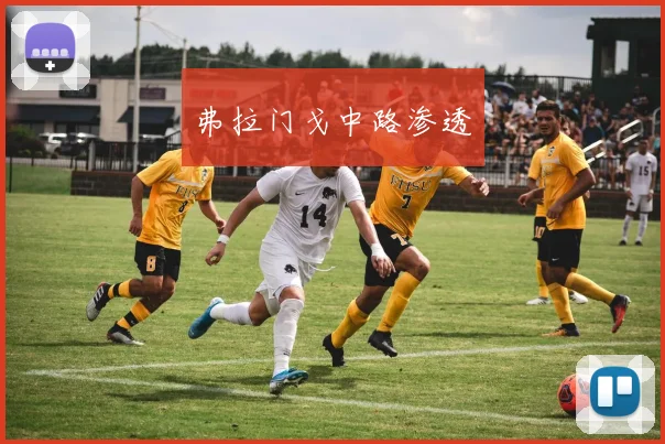 弗拉门戈中路渗透