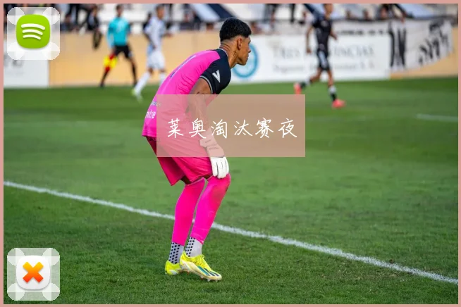 莱奥淘汰赛夜