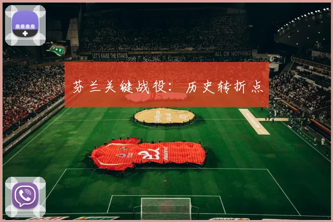 芬兰关键战役：历史转折点