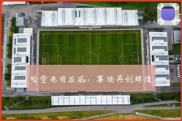 哈登老将发威,赛场再创辉煌