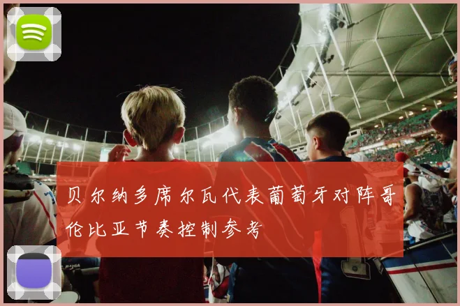 贝尔纳多席尔瓦代表葡萄牙对阵哥伦比亚节奏控制参考