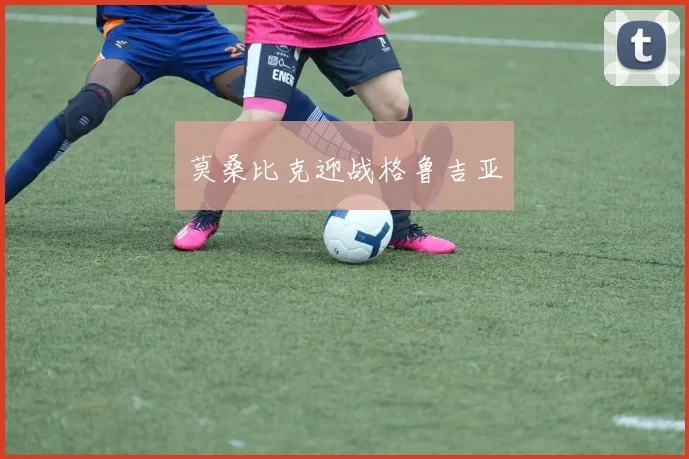 莫桑比克迎战格鲁吉亚