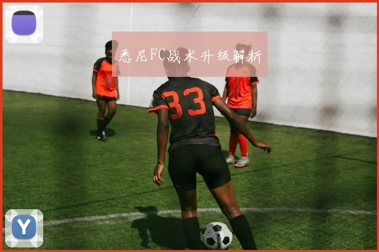 悉尼FC战术升级解析