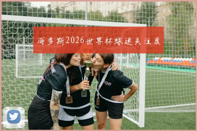 海多斯2026世界杯球迷关注度
