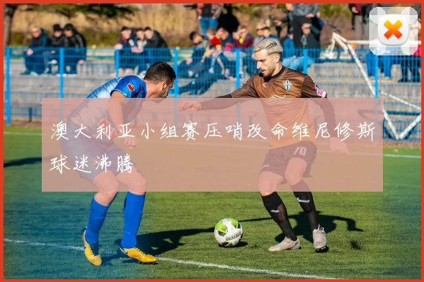 澳大利亚小组赛压哨改命维尼修斯球迷沸腾