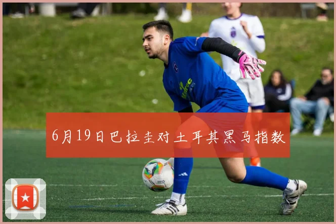 6月19日巴拉圭对土耳其黑马指数